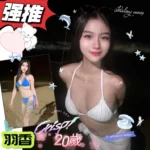 雲林定點茶-羽香