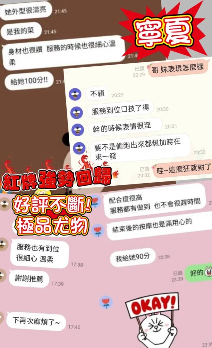 新北定點茶-寧夏