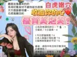 台中定點茶-小泡芙