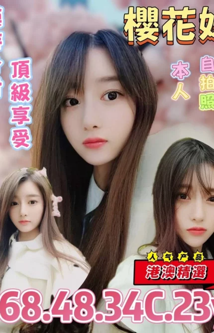 台北定點茶-櫻花妹