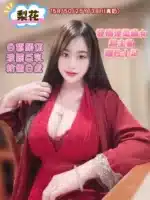 台中定點茶-梨花