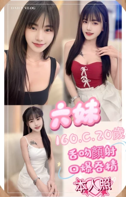 新北定點茶-六妹