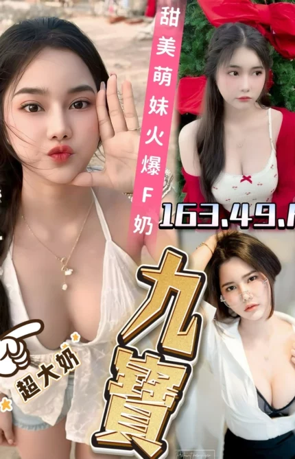 台南定點茶-九寶