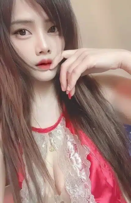 苗栗定點茶-糖糖