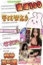 台中定點茶-韓韶禧