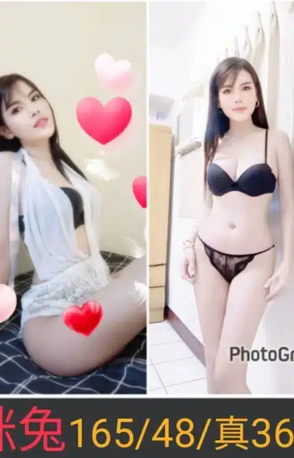 南投定點茶-咪兔