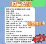 新竹定點茶-甜莓