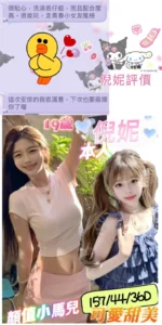 台南定點茶-倪妮