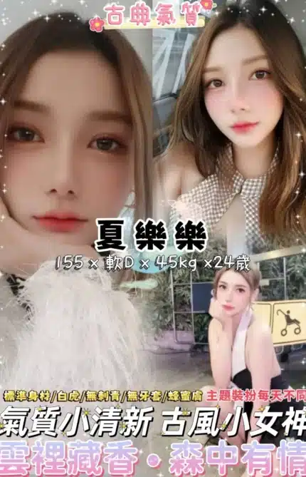 台北定點茶-夏樂樂