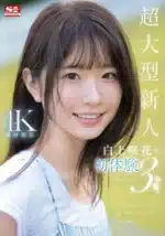 台北外送茶-白上咲花
