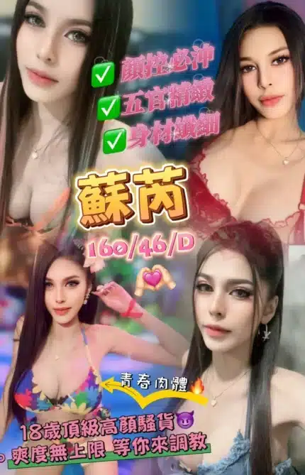 澎湖定點茶-蘇芮