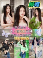 屏東定點茶、外送茶-蝴蝶