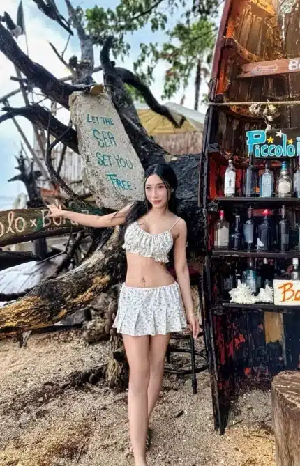 台北定點茶-綠茶婊