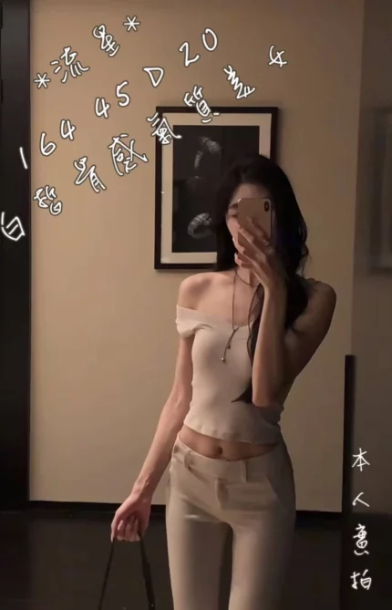 台中外送茶-流星