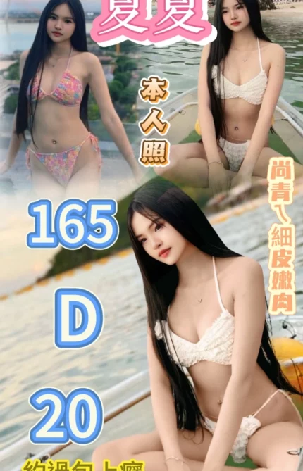 台北定點茶-夏夏