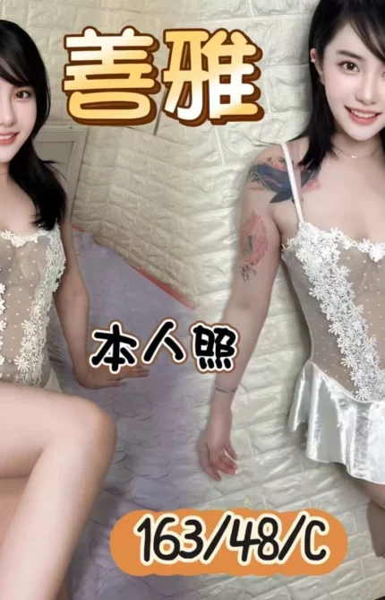 新北定點茶-善雅