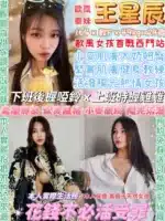台北定點茶-王星辰