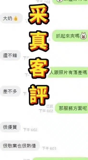 雲林定點茶-采真