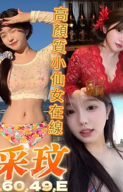 台中定點茶-采玟