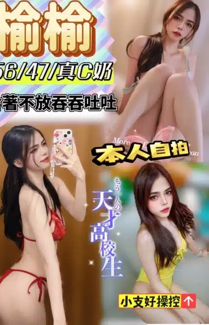 南投定點茶-榆榆