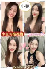 屏東定點茶、外送茶-小莫
