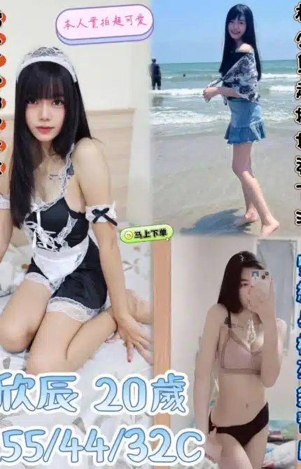 雲林定點茶-欣辰