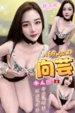 台中定點茶-向芸