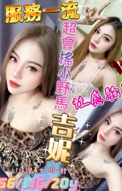 新北定點茶-吉妮