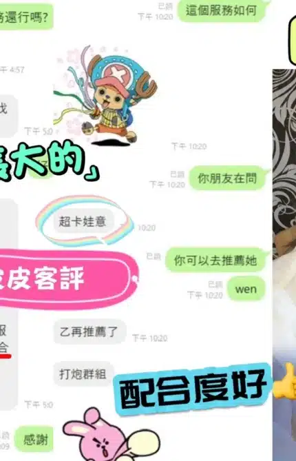 新北定點茶-皮皮