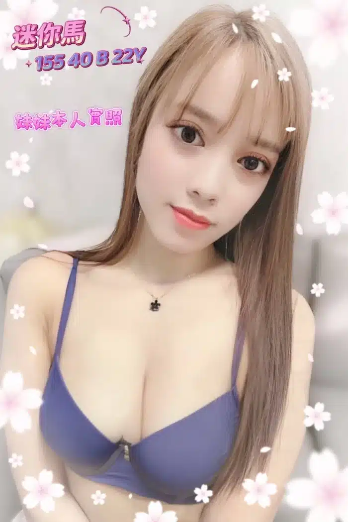 嘉義定點茶-迷你馬