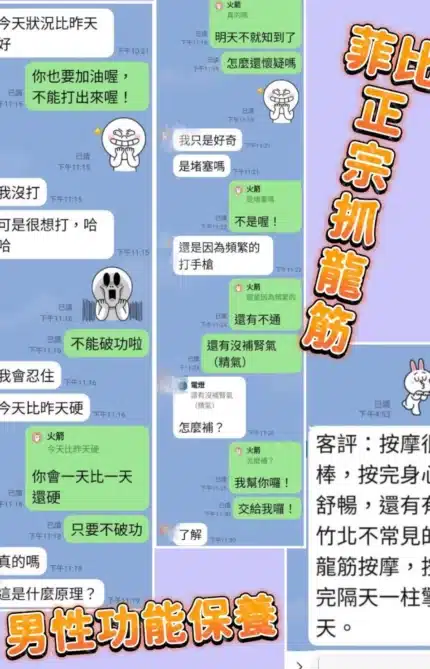 台北定點茶-菲比