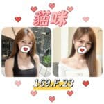 台北外送茶: 貓咪 169/F/23Y