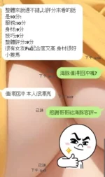 新竹定點茶-海豚