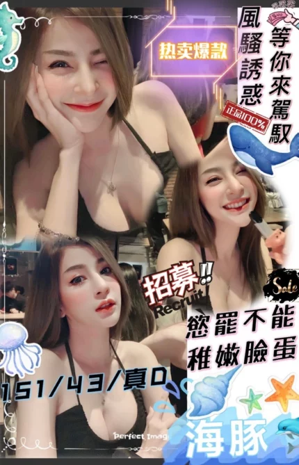 新竹定點茶-海豚