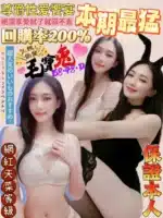 屏東定點茶-毛寶兔