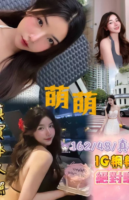 新北定點茶-萌萌