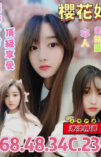 台北定點茶-櫻花妹