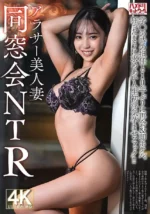 台中外送茶-藤原真帆