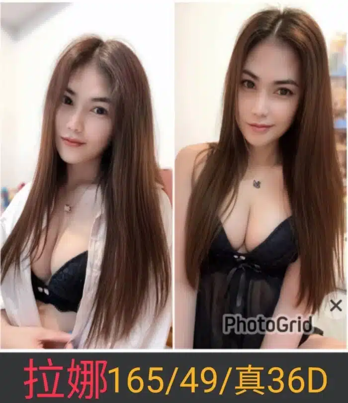 南投定點茶-拉娜