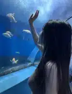 台北定點茶-海薇