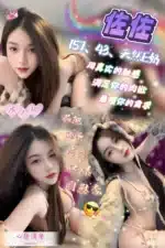 嘉義定點茶-佐佐