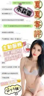 南投定點茶-夏夏