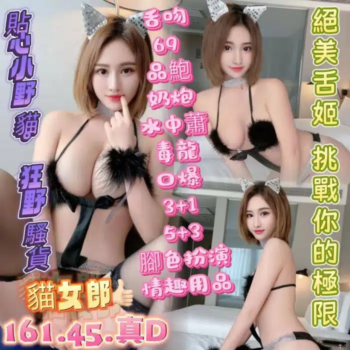 高雄定點茶-貓女郎