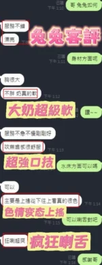 新竹定點茶-兔兔
