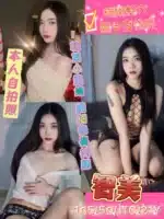 新北定點茶-智美