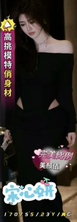 嘉義定點茶-宋心妍