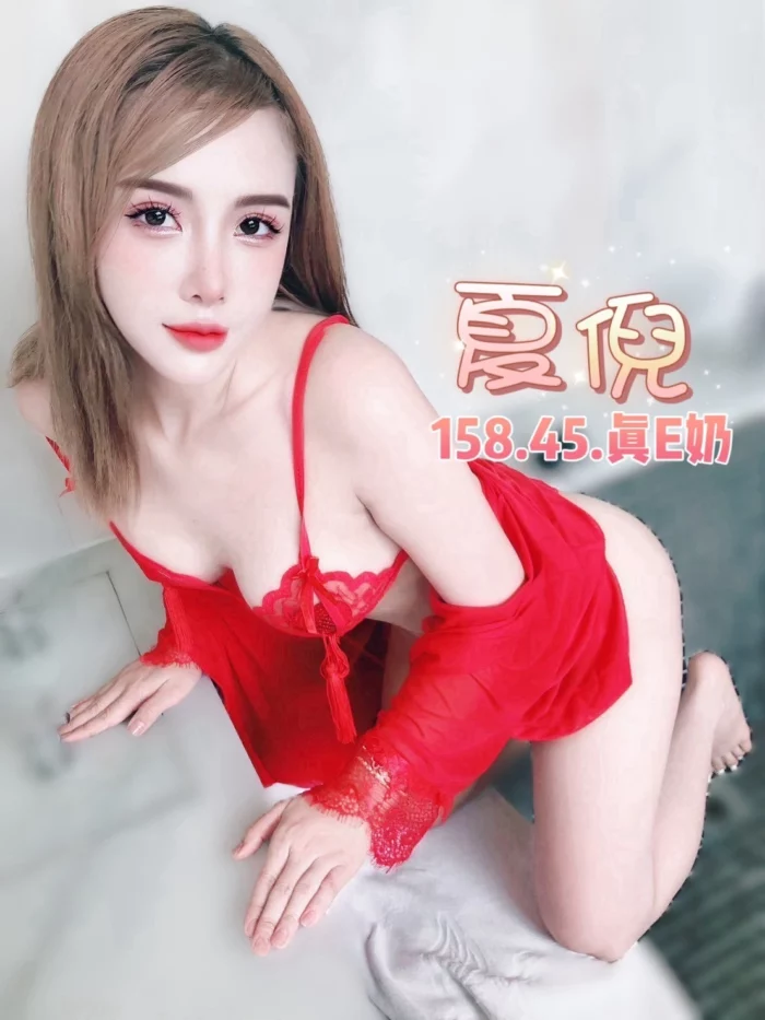 台北定點茶-夏倪