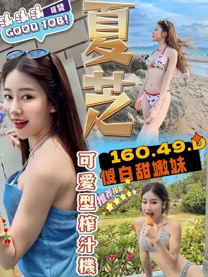 台南定點茶-夏芝