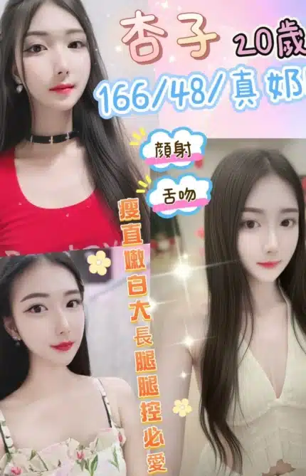 南投定點茶-杏子