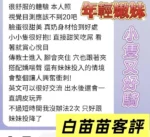 台南定點茶-白苗苗